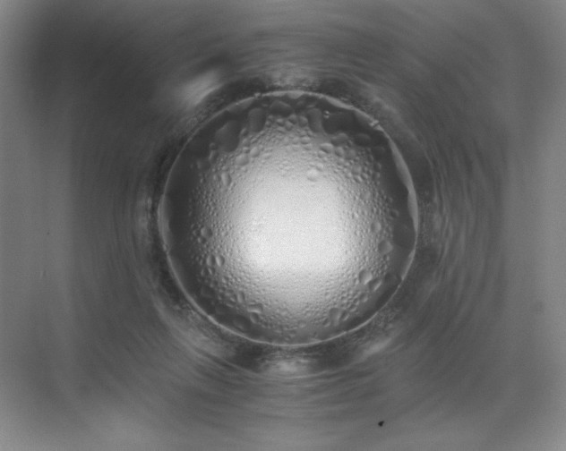 X0000073840263200608101237