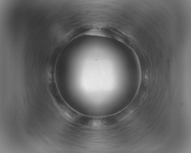 X0000073840264200608101237