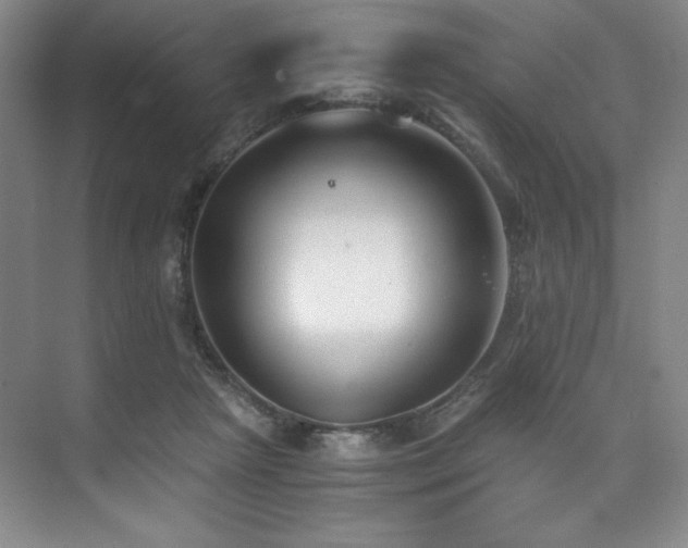 X0000073840265200608101237