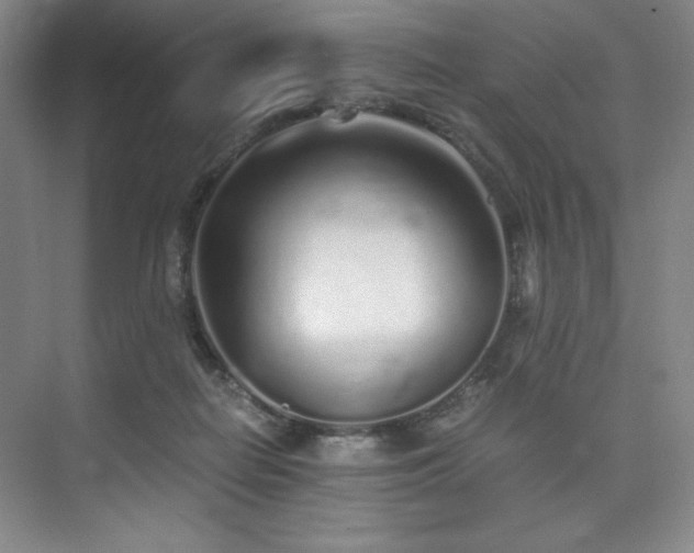 X0000073840266200608101237