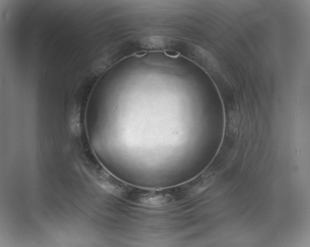 X0000073840267200608101237