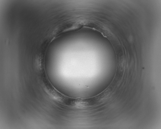 X0000073840268200608101237