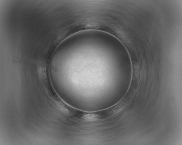 X0000073840269200608101237