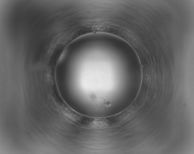 X0000073840270200608101237