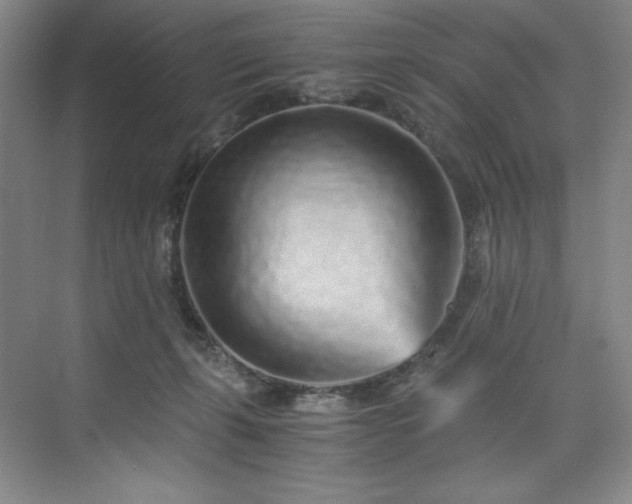 X0000073840271200608101237