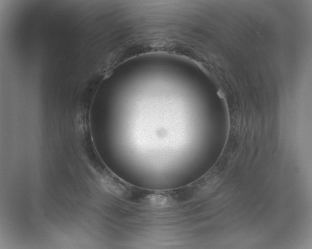 X0000073840272200608101237