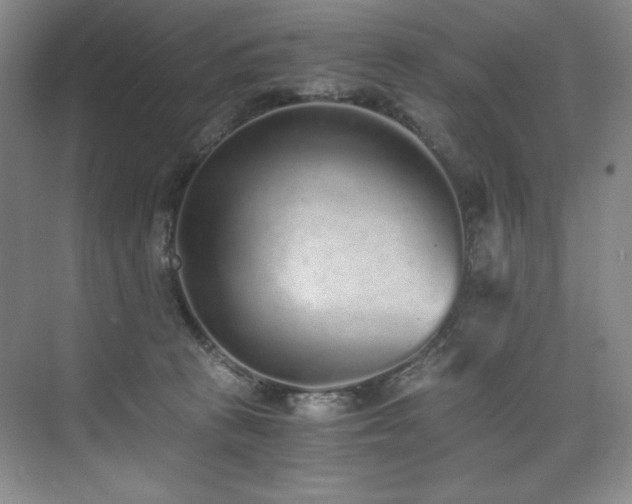 X0000073840273200608101237