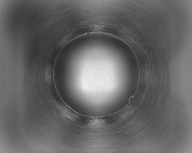 X0000073840274200608101237