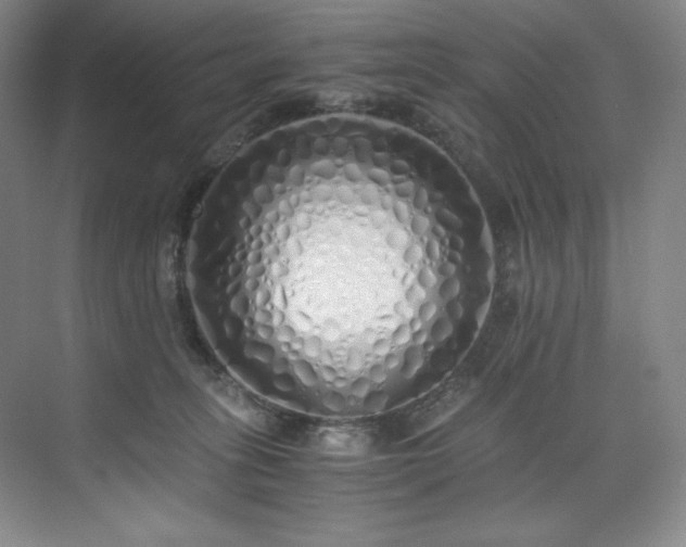 X0000073840275200608101237