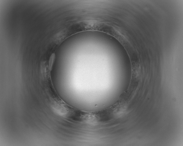 X0000073840276200608101237