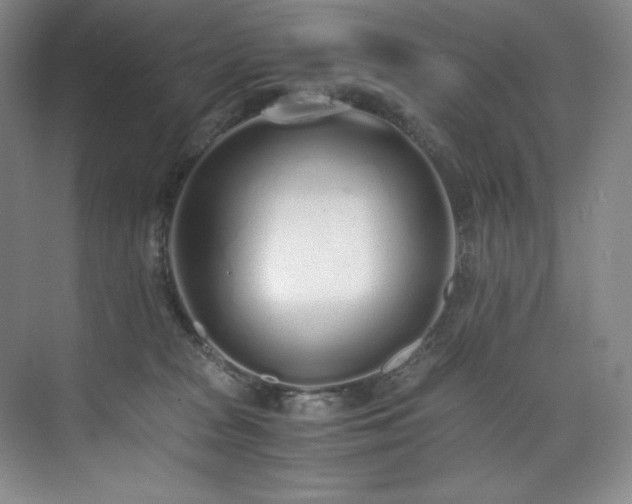 X0000073840277200608101237