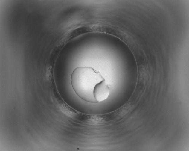 X0000073840278200608101237