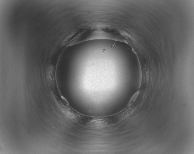 X0000073840280200608101237