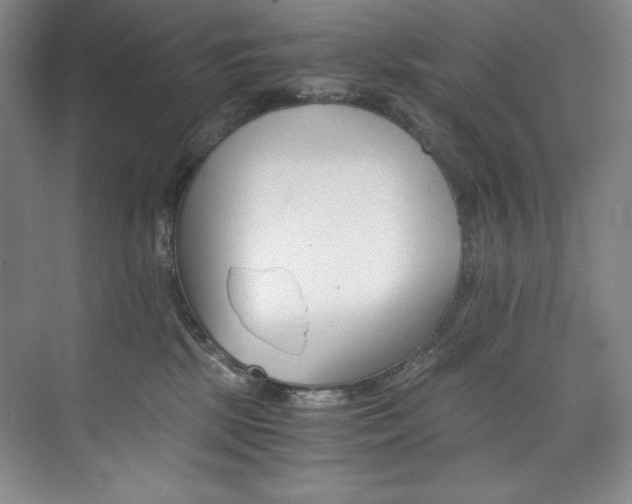 X0000073840281200608101237