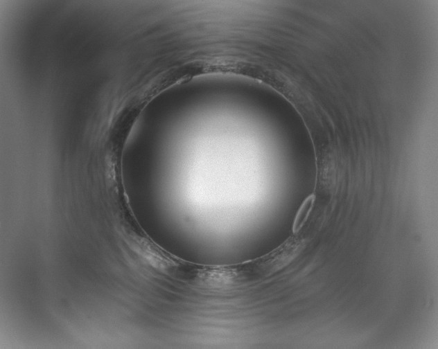 X0000073840282200608101237