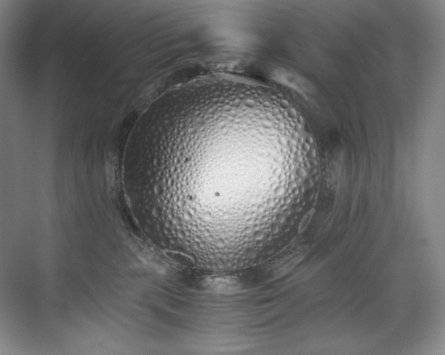 X0000073840283200608101237