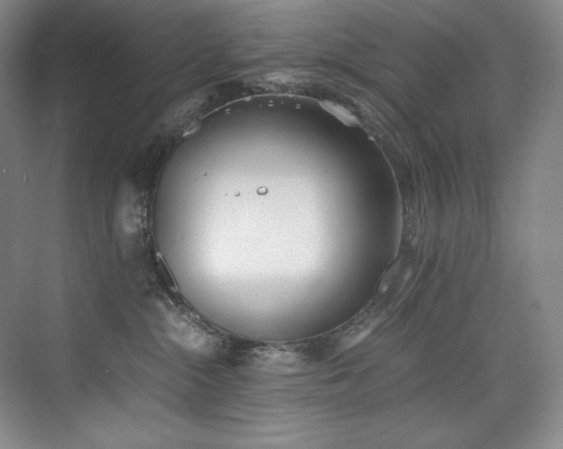 X0000073840284200608101237