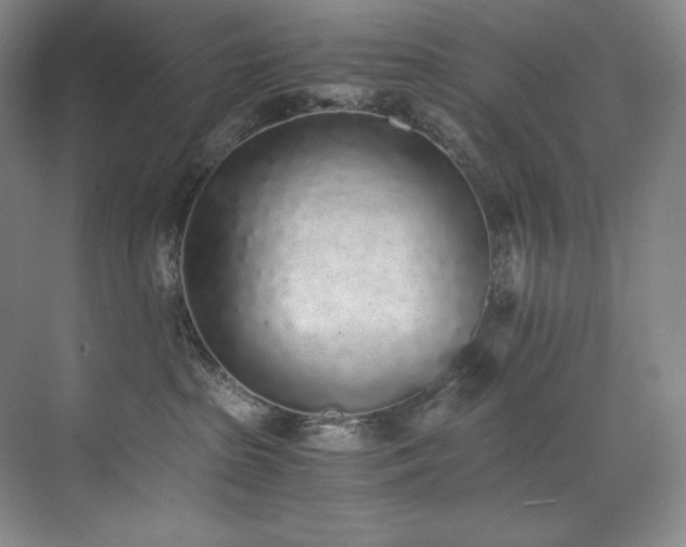 X0000073840285200608101237