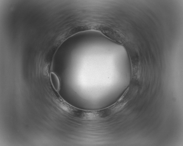 X0000073840286200608101237