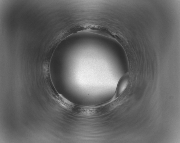 X0000073840288200608101237