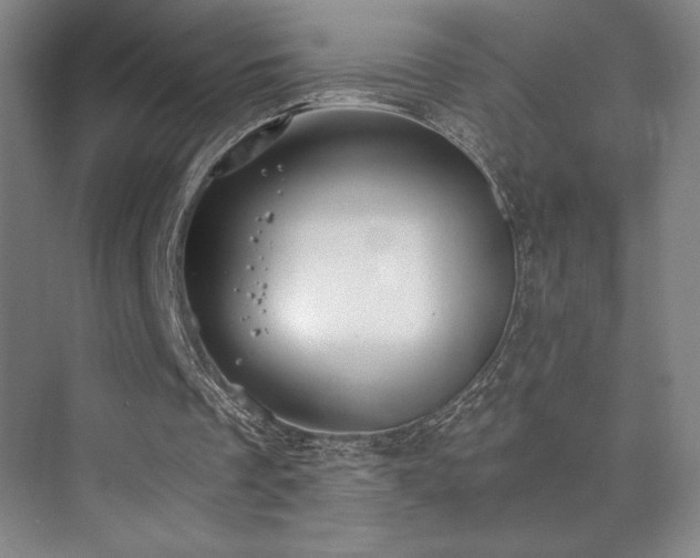 X0000073840289200608101237