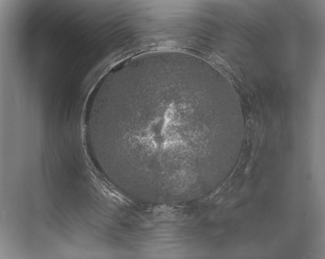 X0000073840290200608101237