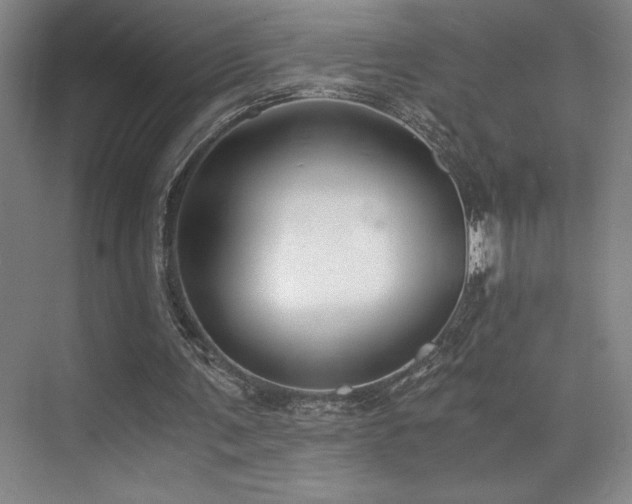 X0000073840291200608101237