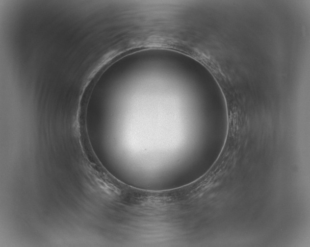 X0000073840292200608101237