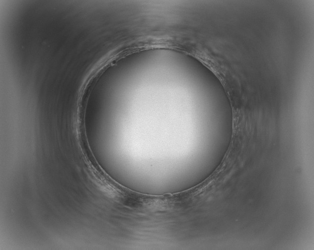 X0000073840293200608101237