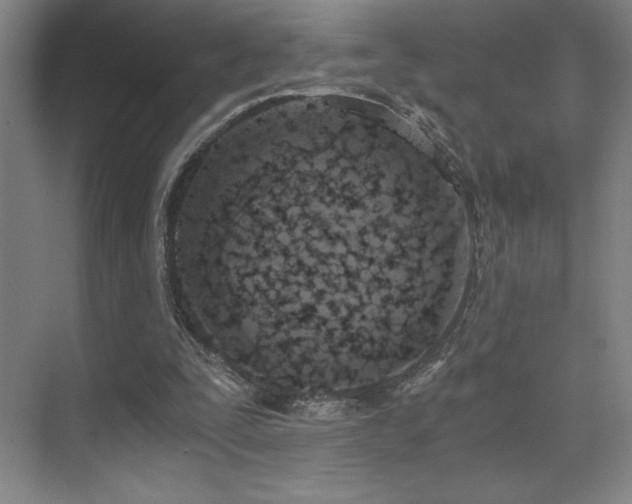 X0000073840295200608101236