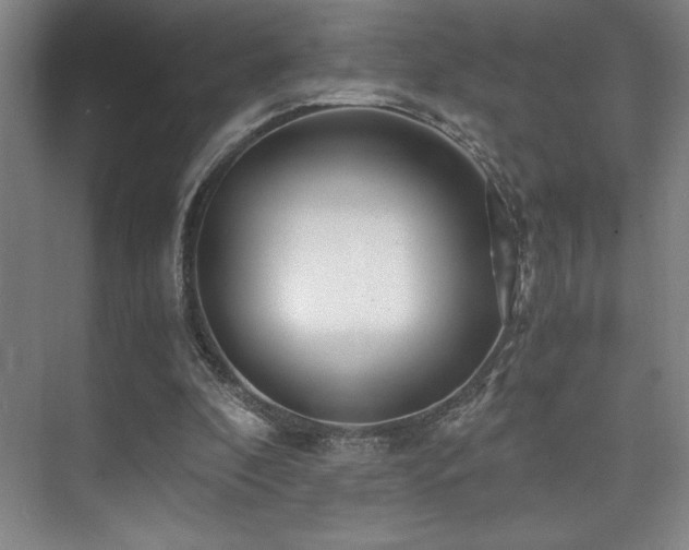 X0000073840296200608101236