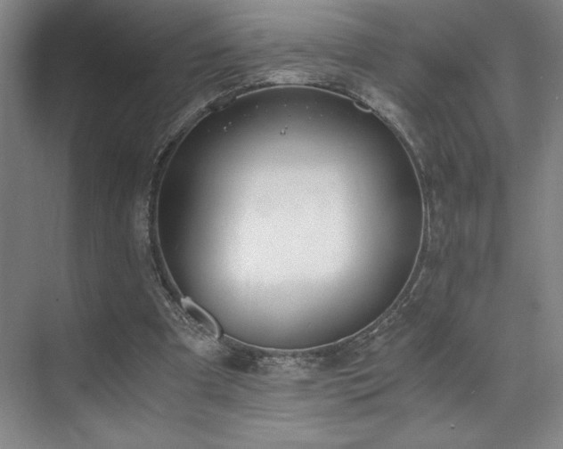 X0000073840297200608101236