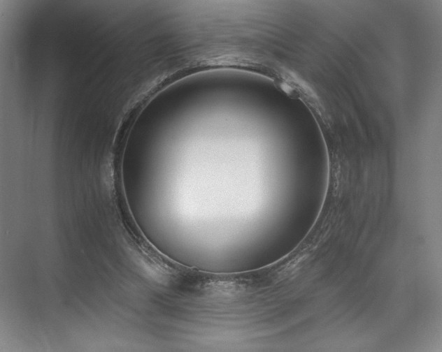 X0000073840298200608101236