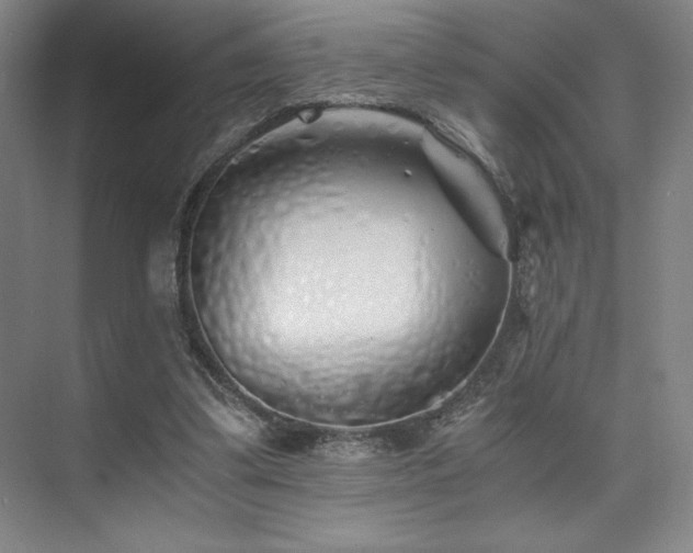 X0000073840299200608101236