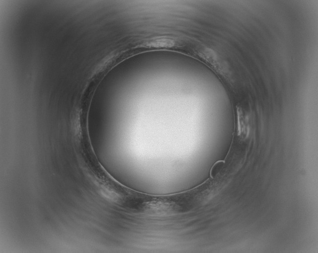 X0000073840300200608101236