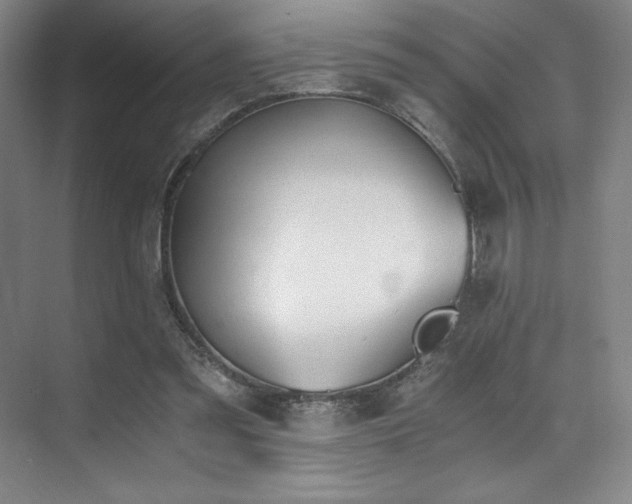 X0000073840301200608101236