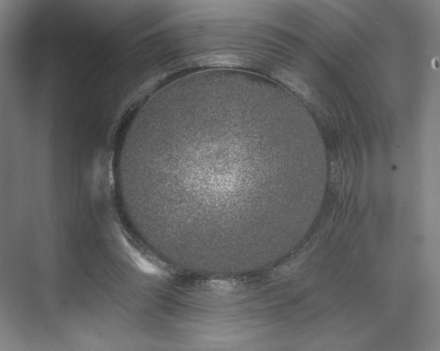 X0000073840302200608101236