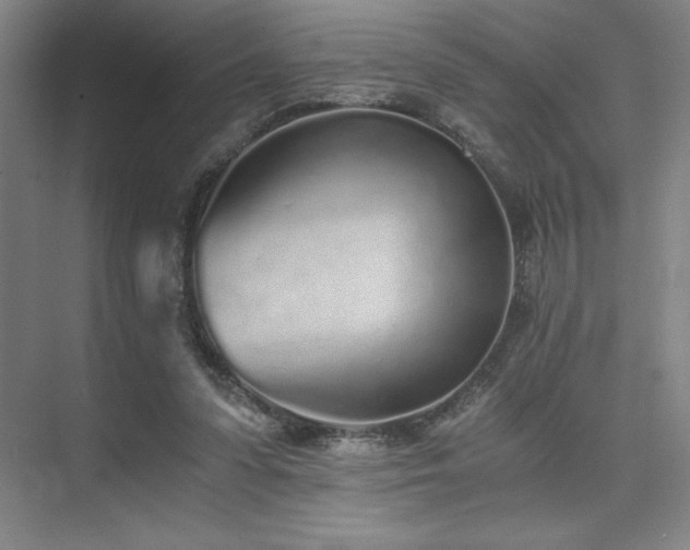 X0000073840303200608101236