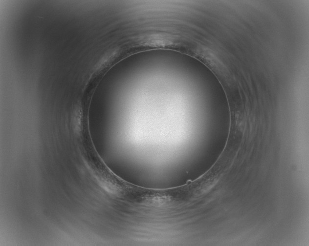 X0000073840304200608101236