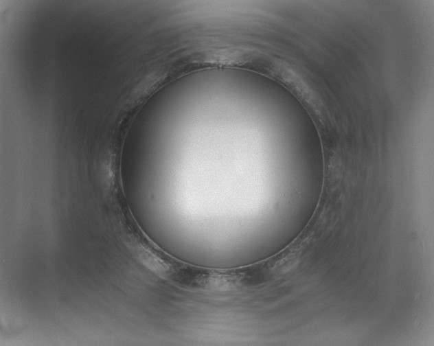 X0000073840305200608101236