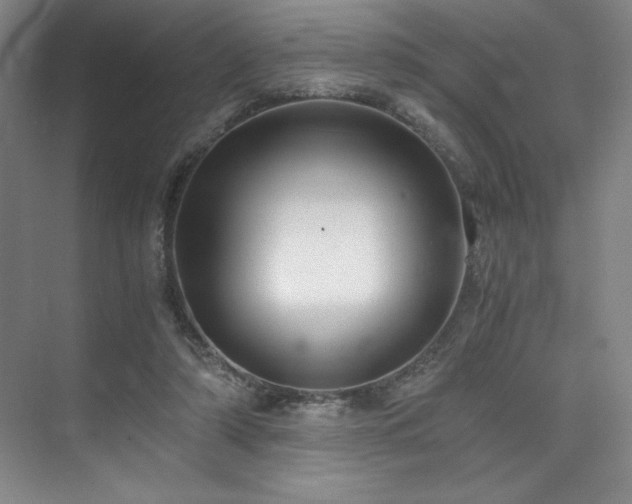 X0000073840306200608101236