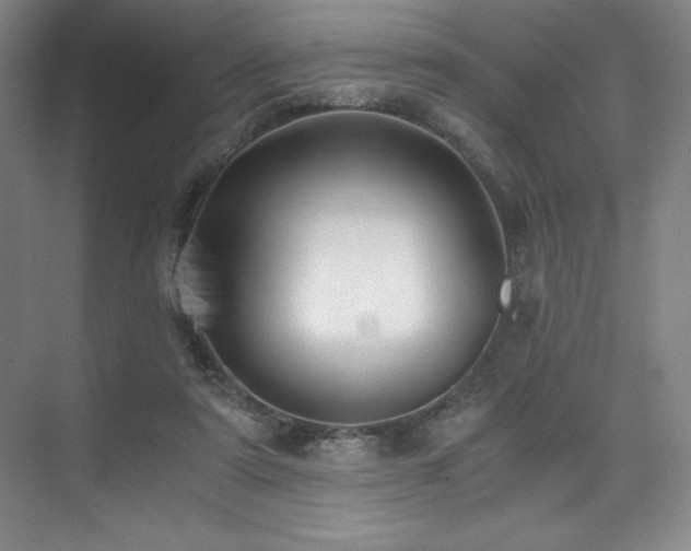 X0000073840307200608101236