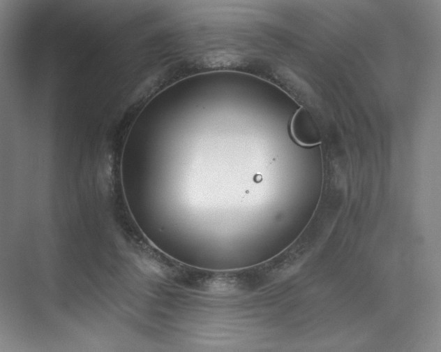 X0000073840308200608101236