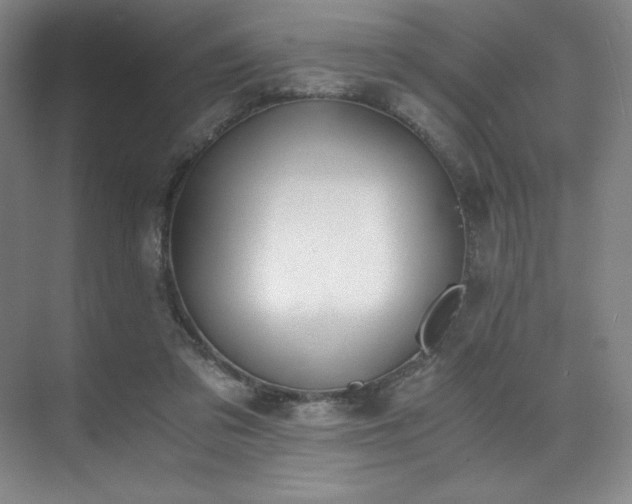 X0000073840309200608101236