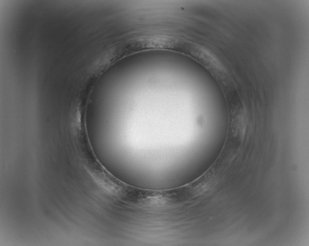 X0000073840310200608101236