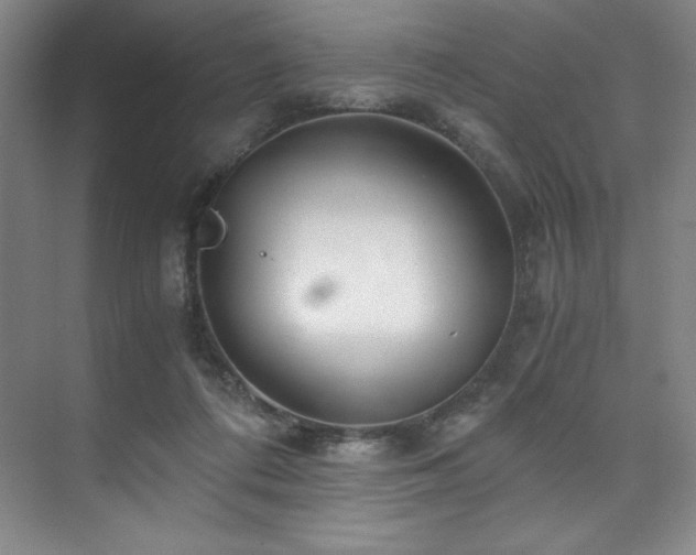 X0000073840312200608101236