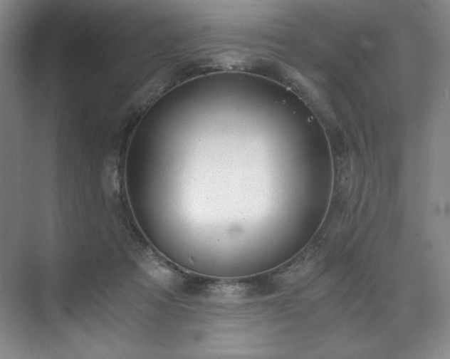 X0000073840313200608101236