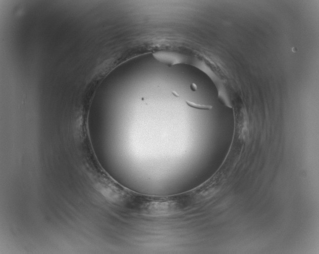 X0000073840314200608101236