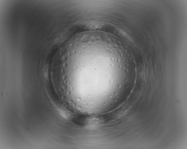 X0000073840315200608101236