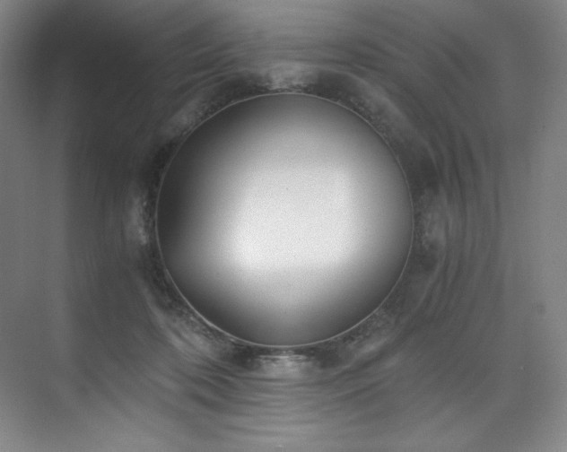 X0000073840316200608101236